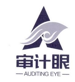 审计眼 auditing eye